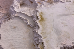 Palette Spring