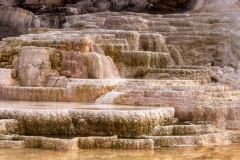 Palette Spring