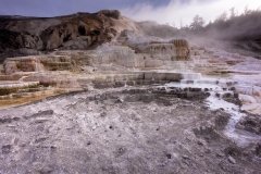 Palette Spring