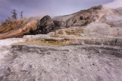 Palette Spring