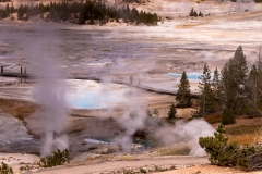 Norris Geyser Basin