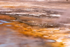 Norris Geyser Basin