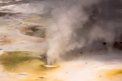 Norris Geyser Basin
