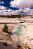 Norris Geyser Basin