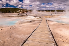 Norris Geyser Basin