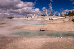 Norris Geyser Basin