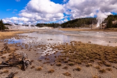 Norris Geyser Basin