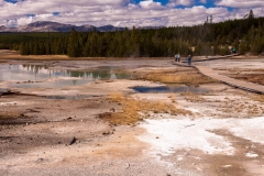 Norris Geyser Basin