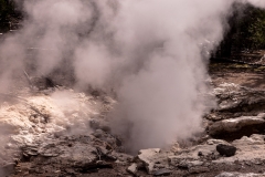 Norris Geyser Basin