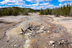Norris Geyser Basin