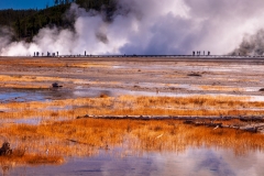 Midway Geyser Basin