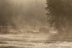 Madison River