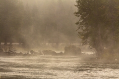 Madison River