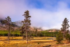 Madison River