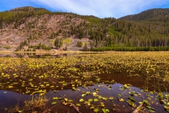Harlequin Lake