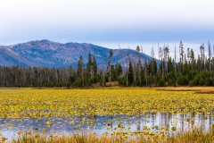 Riddle Lake