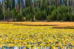 Riddle Lake