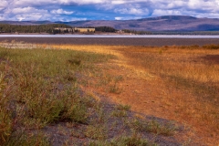 Gull Point