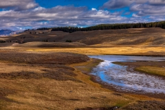 Hayden Valley