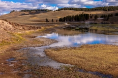 Hayden Valley
