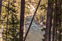 Yellowstone River