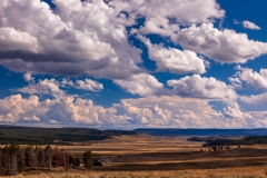 Hayden Valley