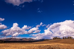 Hayden Valley