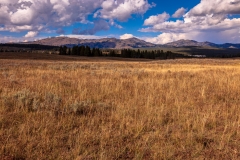 Hayden Valley