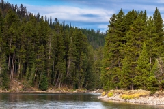Yellowstone River