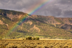 Lamar Valley