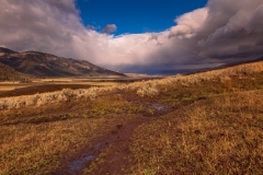 Lamar Valley