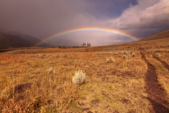 Lamar Valley