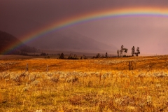Lamar Valley