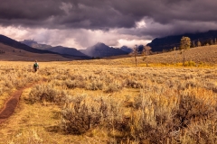 Lamar Valley