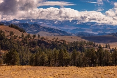 Yellowstone River Valley