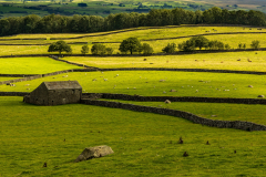 Drystone walls and stone barn, Austwick