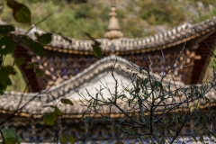 Wufeng Lou