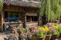 Dayan shops