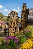 Dayan Waterwheels