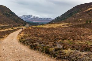 A Taste of the Cairngorms