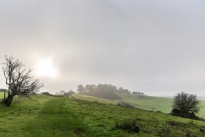 Sunlight in the fog, Pentridge Hill