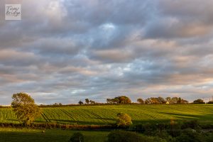 Late evening over the North Devon countryside