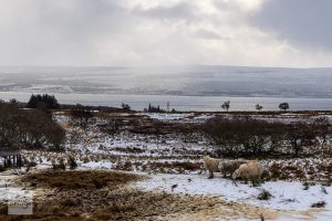 Winter afternoon in the hills above Loch Shin, Sutherland